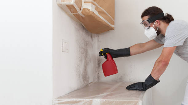 Professional Commercial Mold Remediation technician working in Clifton, TX