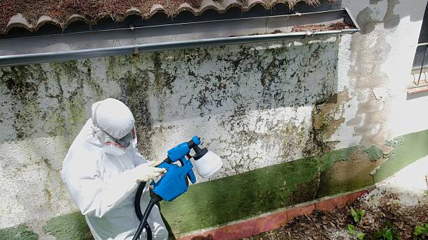 Trusted Commercial Mold Remediation service in Clifton, TX - Cheap Mold Removal